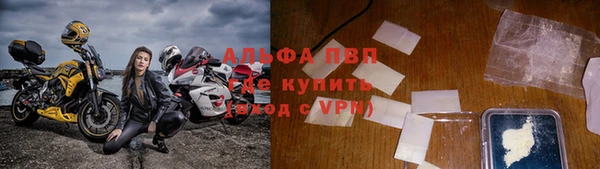 PSILOCYBIN Тольятти