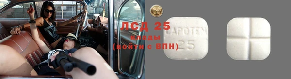 спайс Аркадак