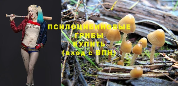 спайс Аркадак