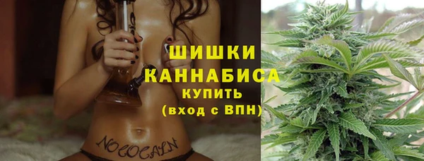 PSILOCYBIN Тольятти