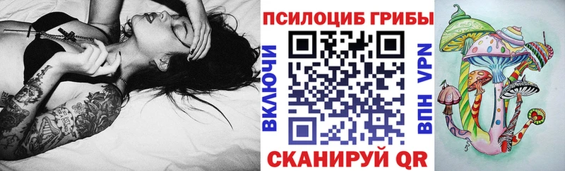 как найти закладки  Белый  Галлюциногенные грибы Psilocybine cubensis 