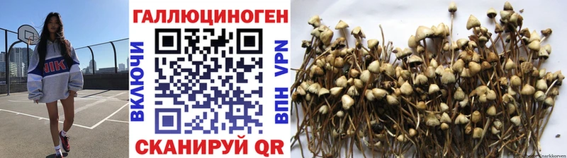Псилоцибиновые грибы мухоморы Белый